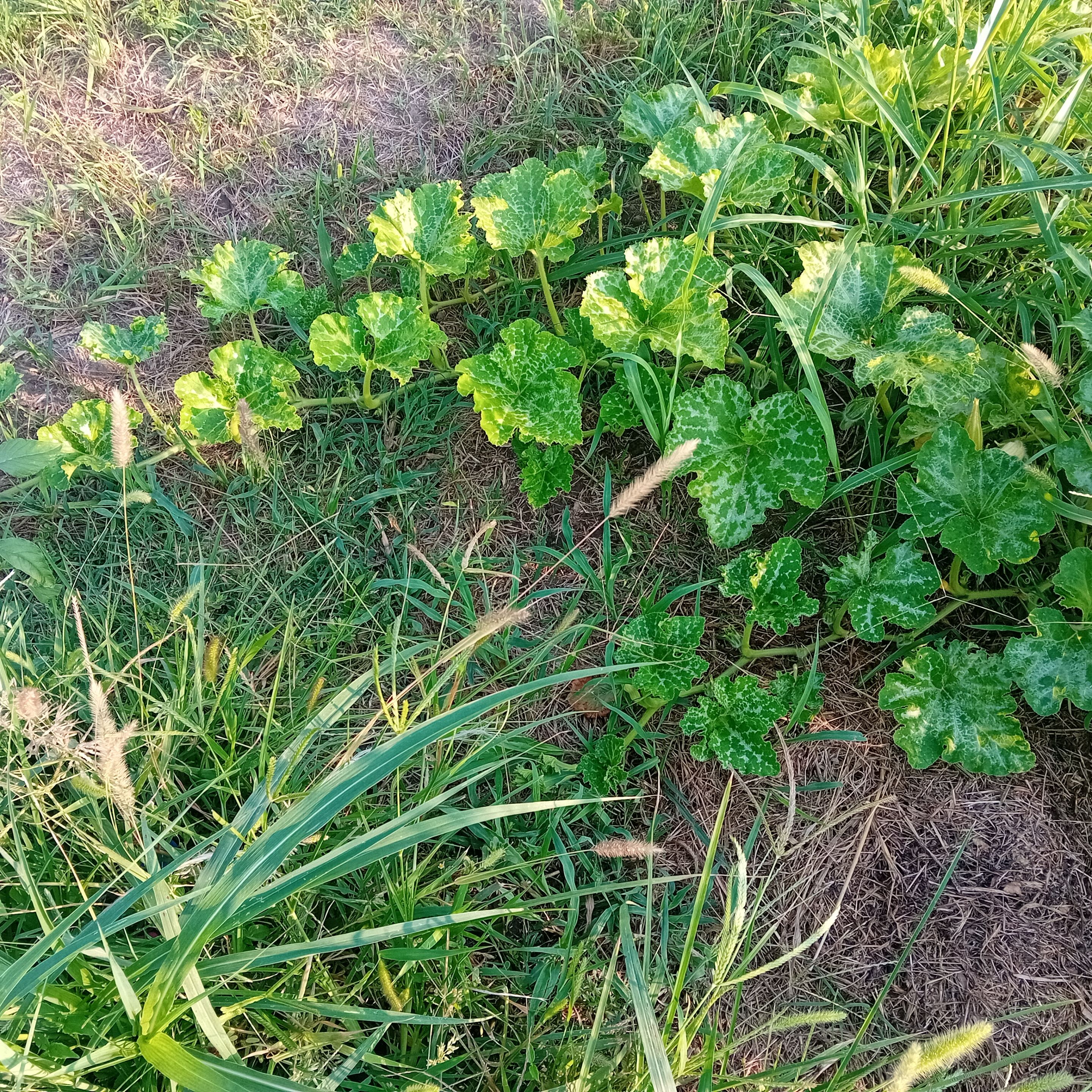 20250822_174607.jpg