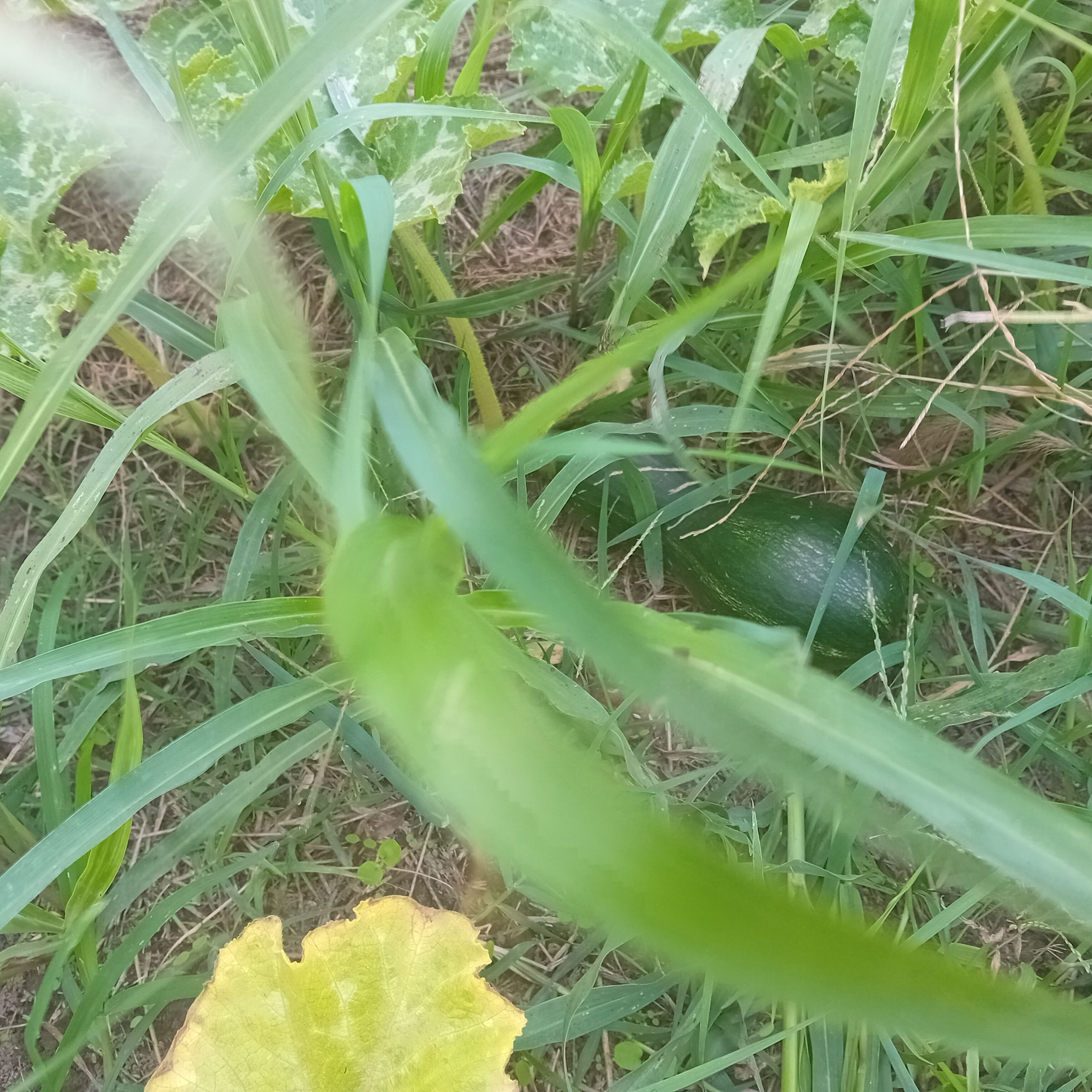 20250916_165242.jpg