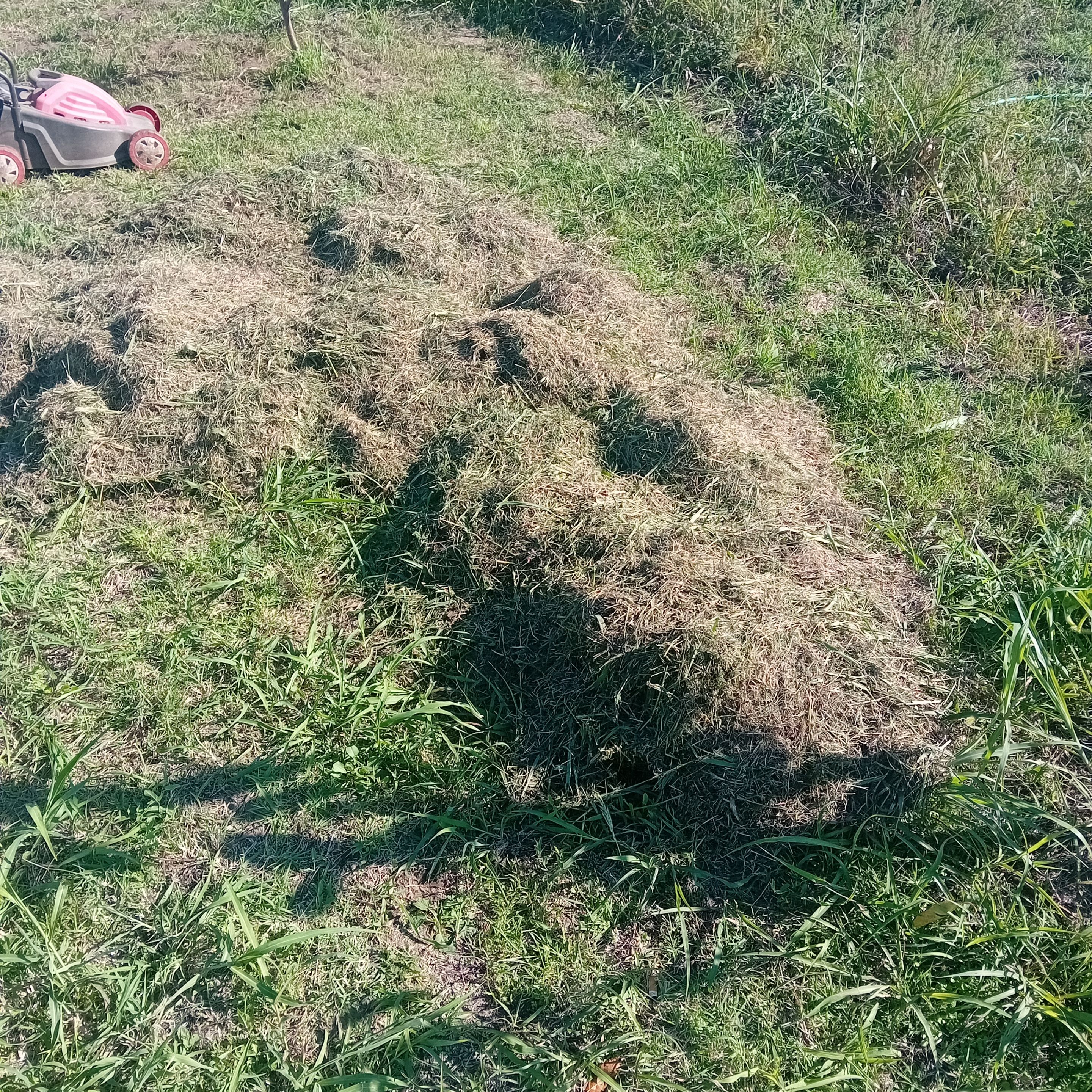 20250922_150136.jpg