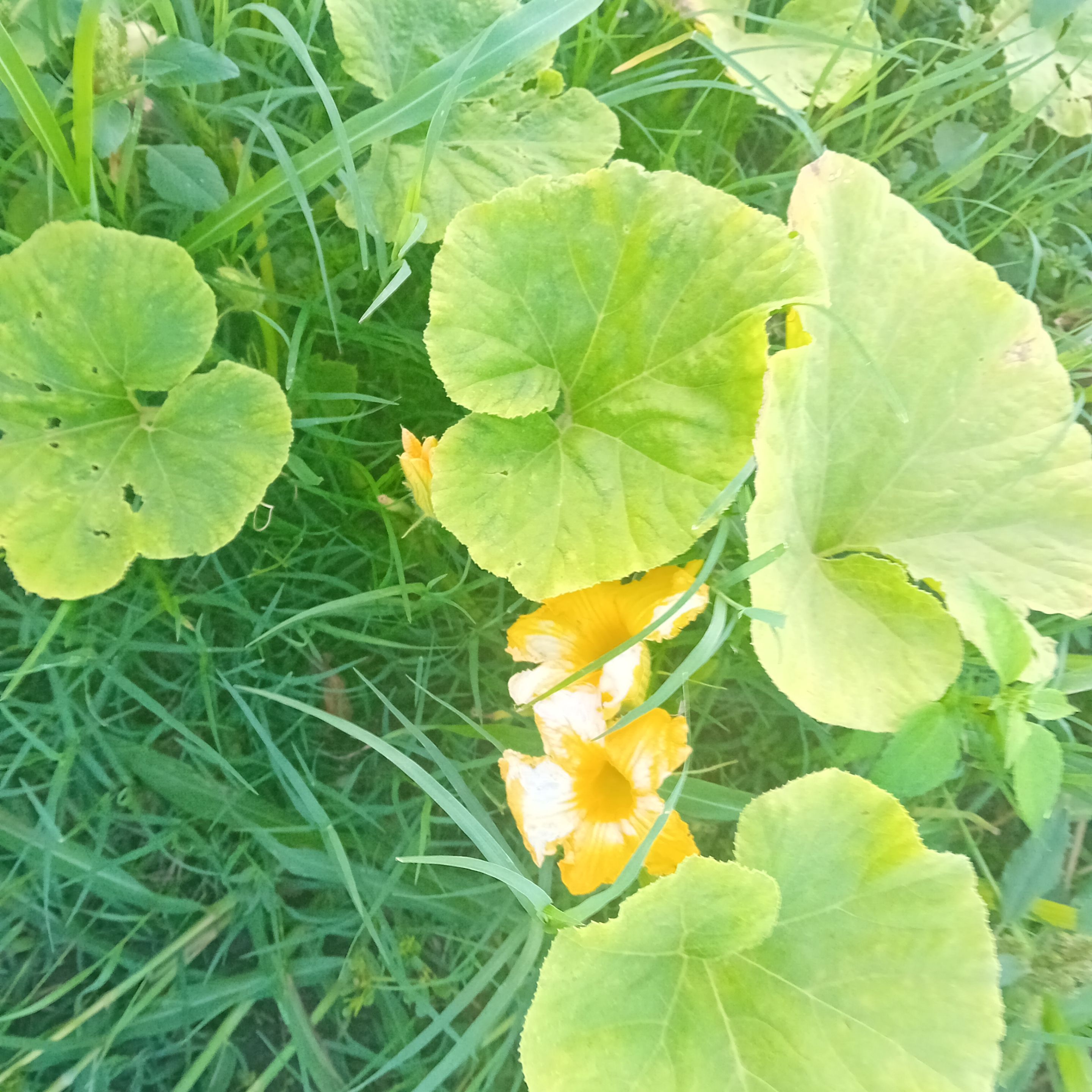 20250915_183718.jpg
