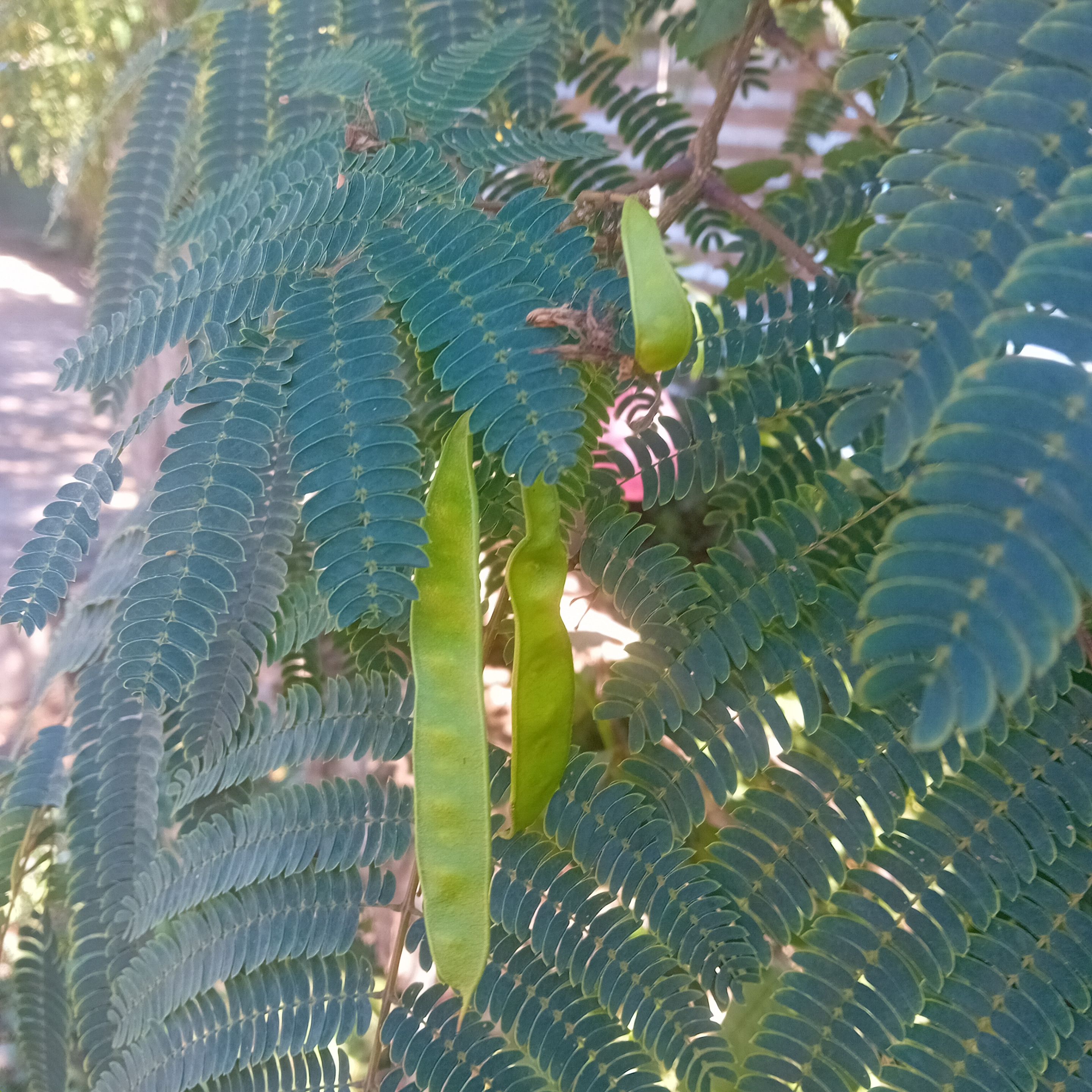 20250923_122550.jpg