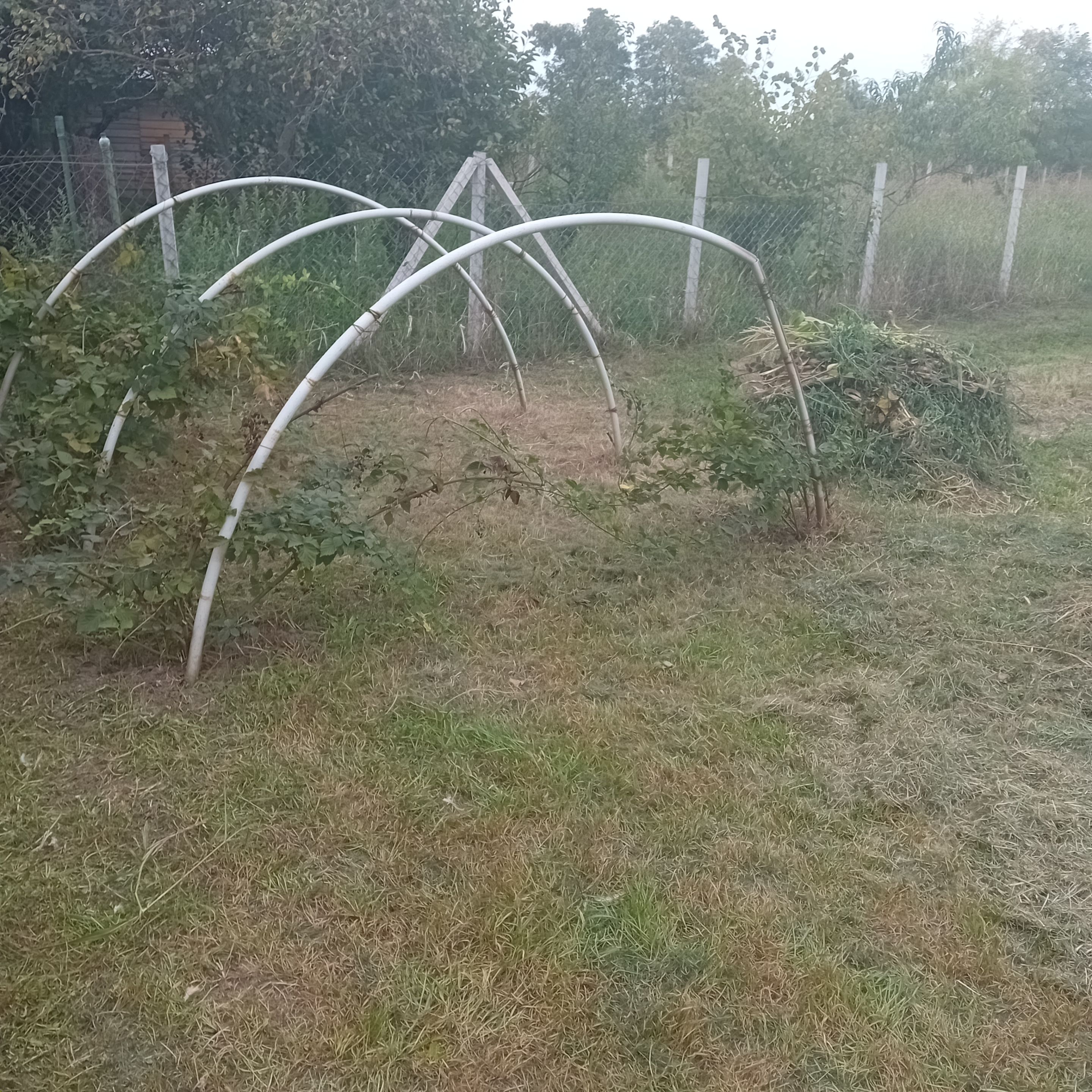 20250924_165351.jpg