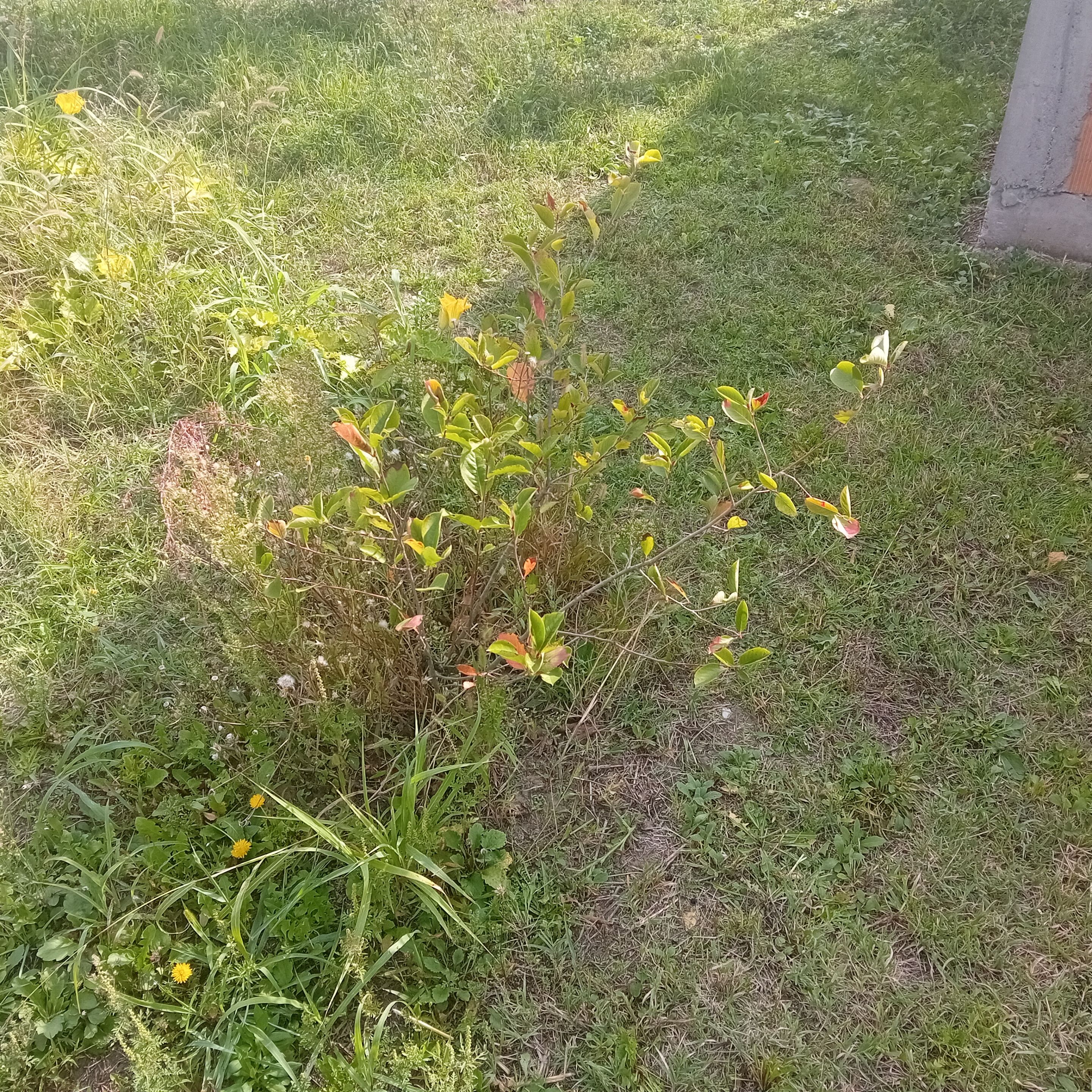 20250924_102256.jpg