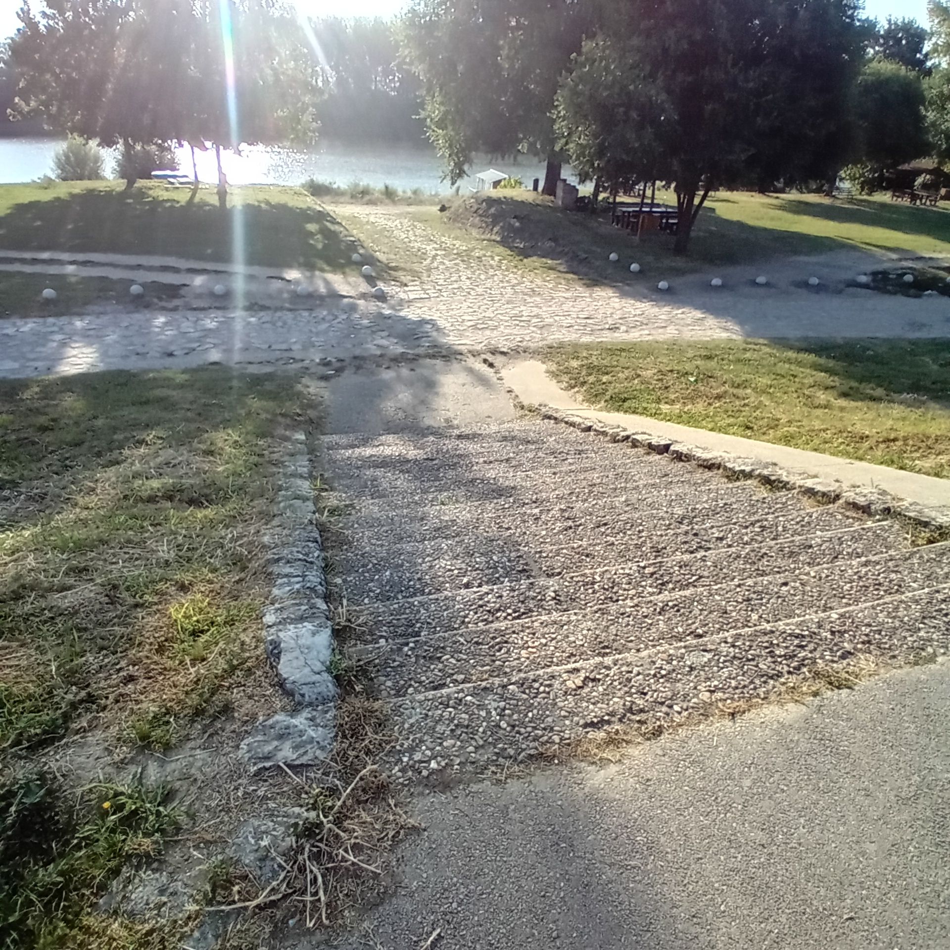 20250812_072528.jpg