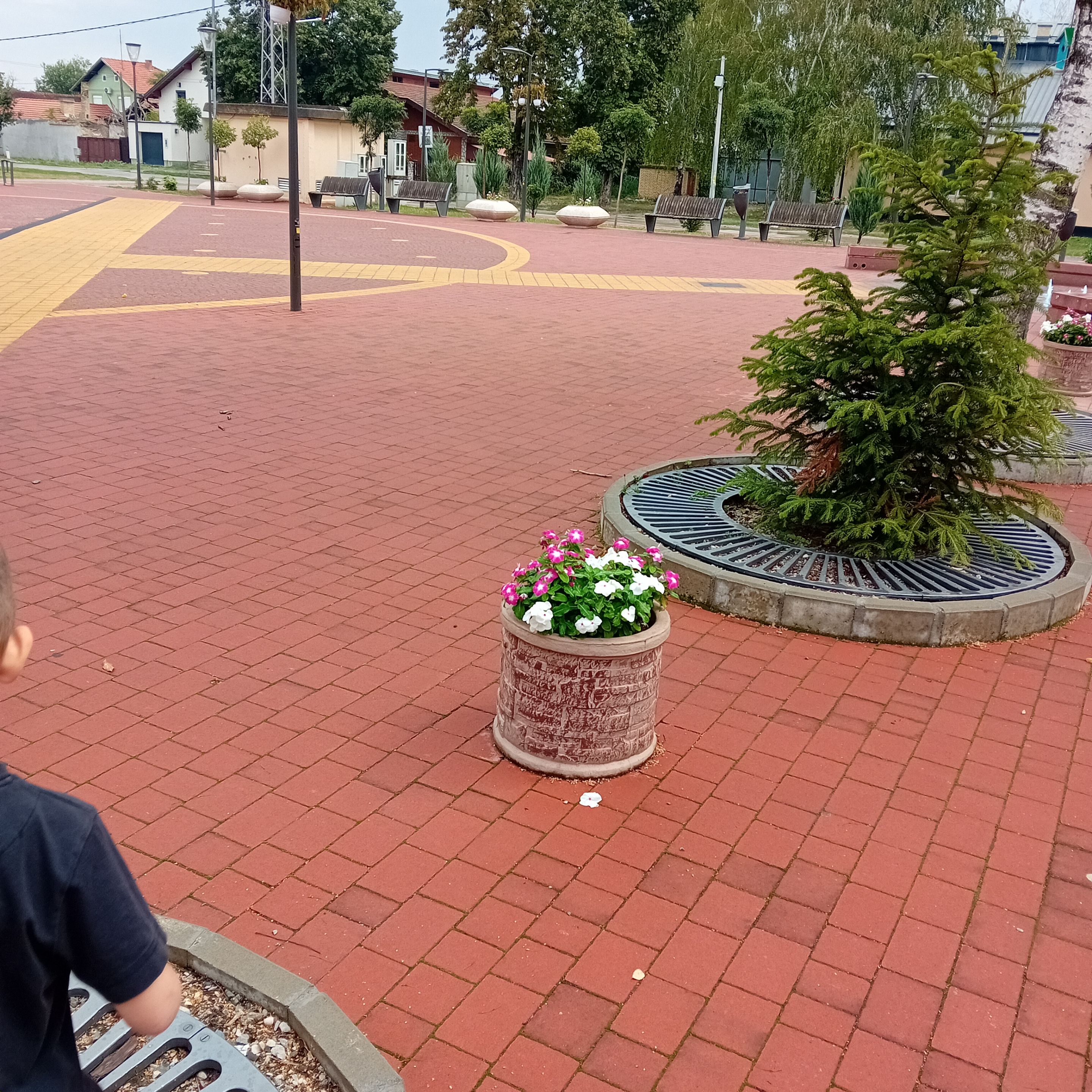 20250817_110355.jpg