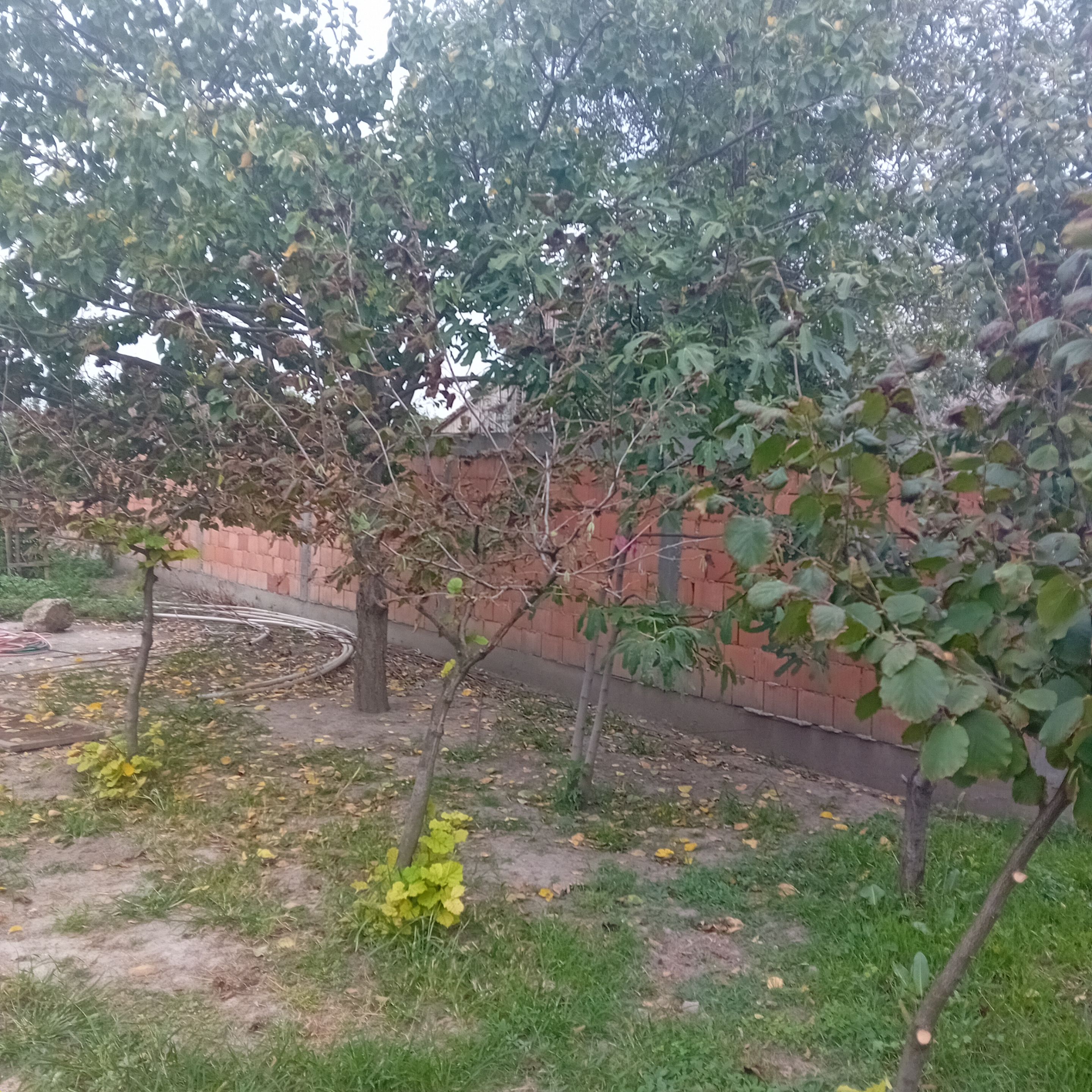 20250924_165329.jpg