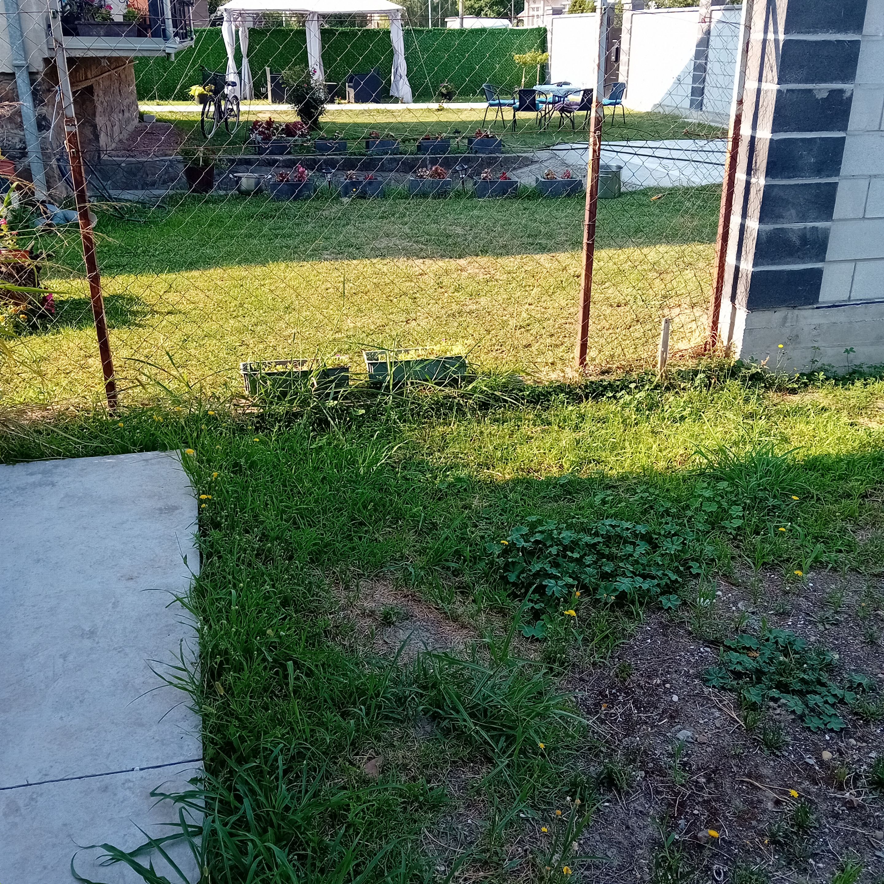 20250811_083821.jpg