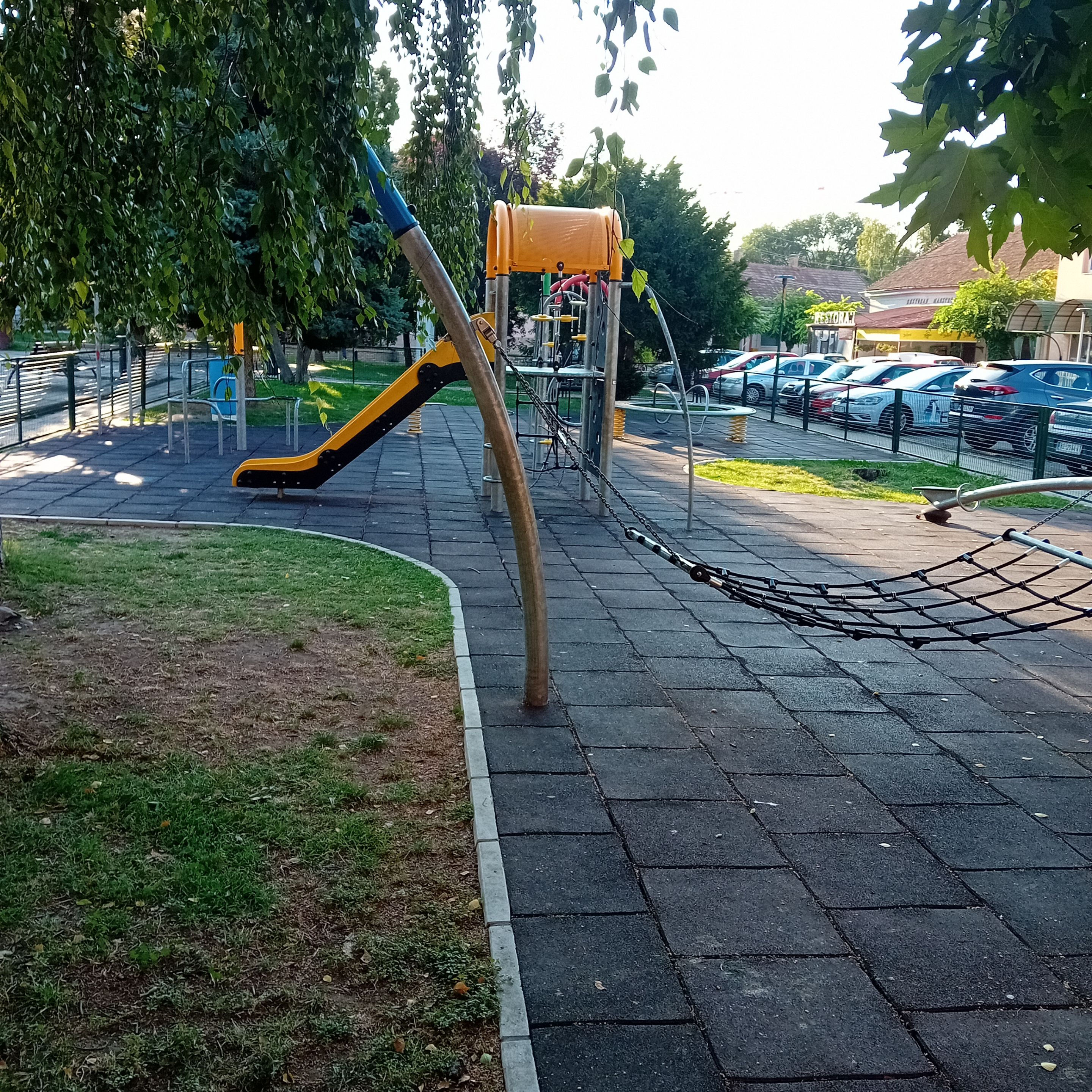 20250812_071251.jpg