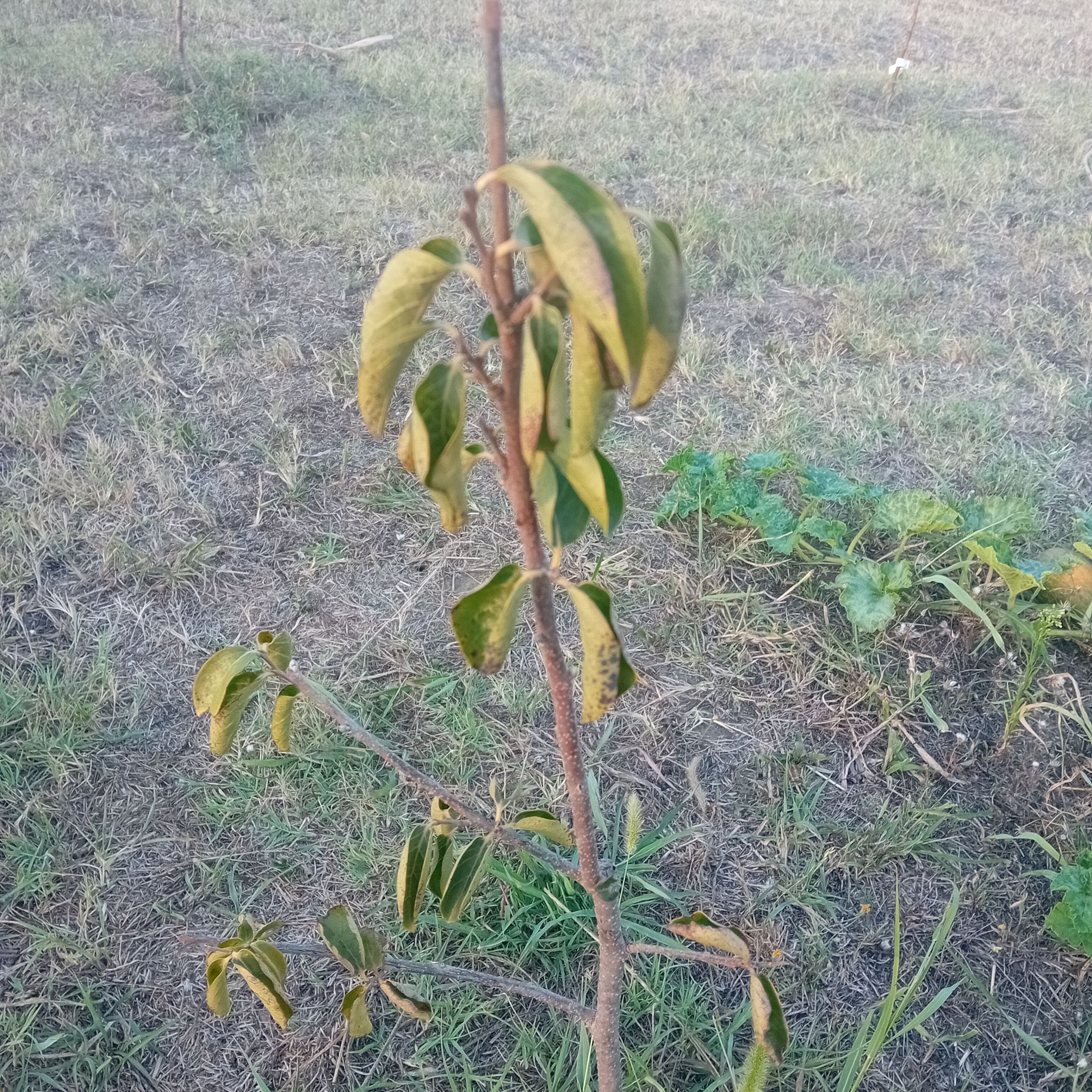 20250905_183523.jpg