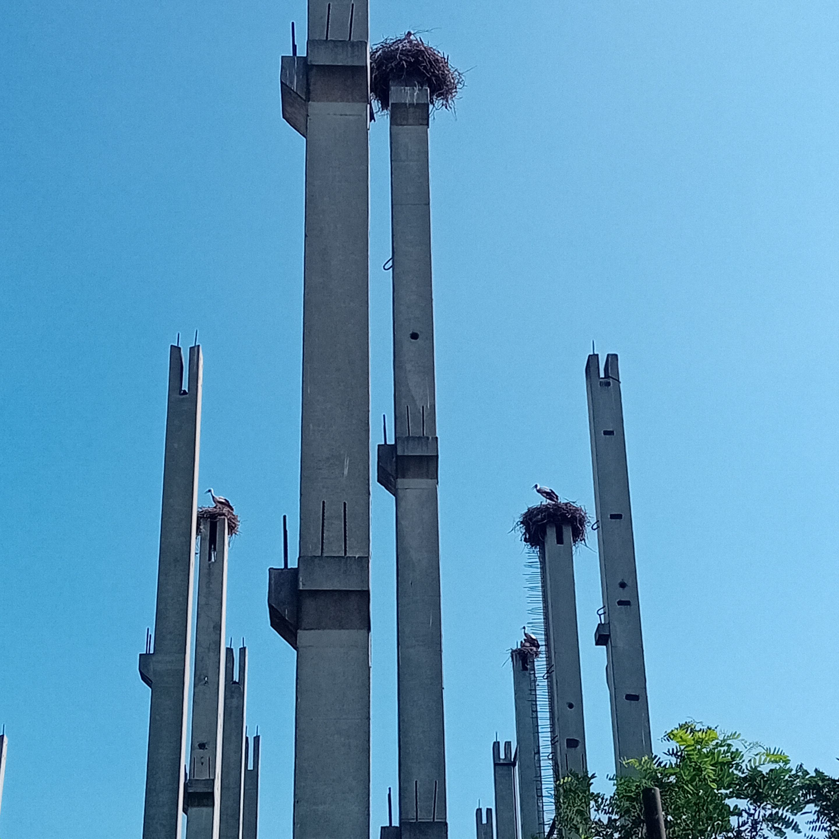 20250723_160831.jpg