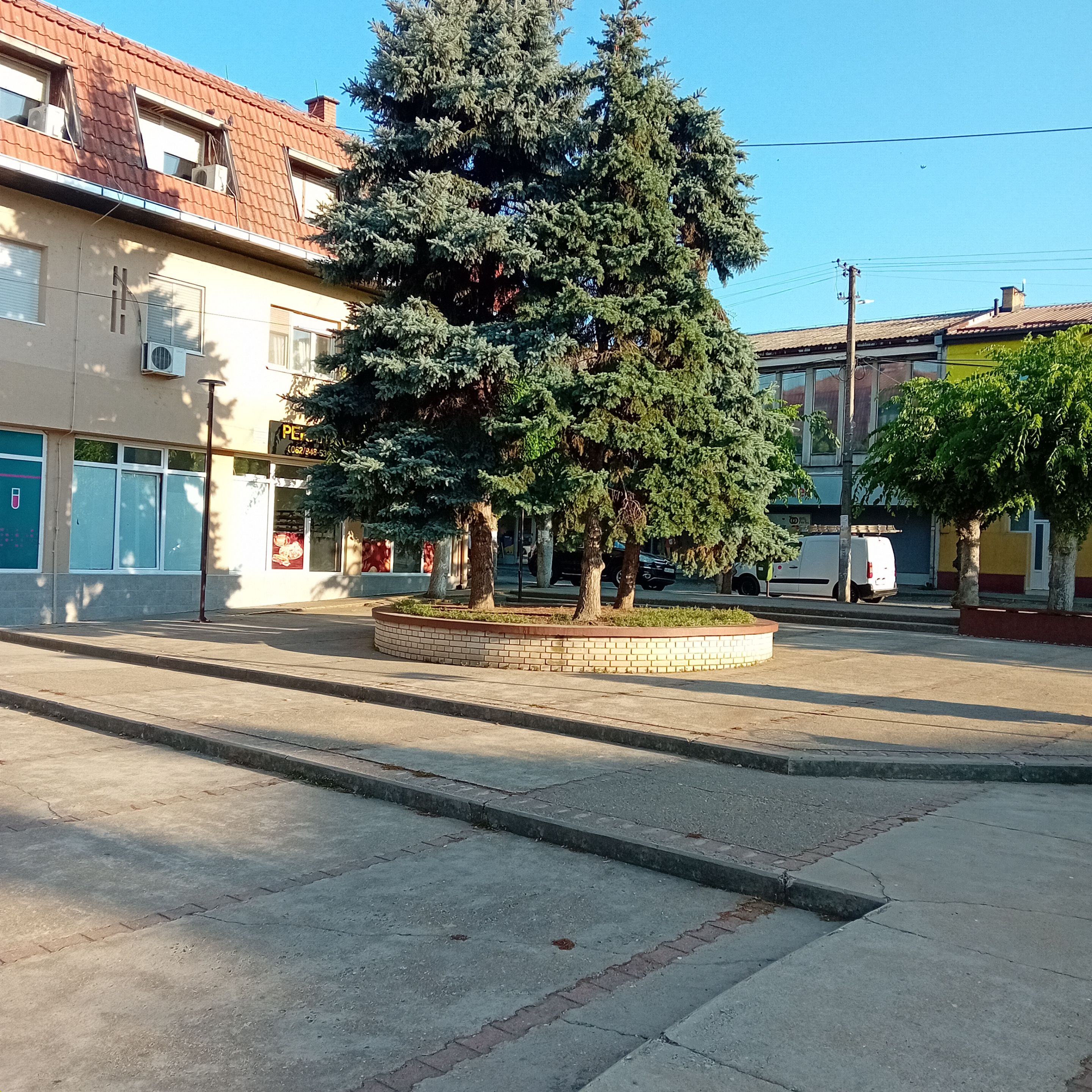 20250812_071330.jpg