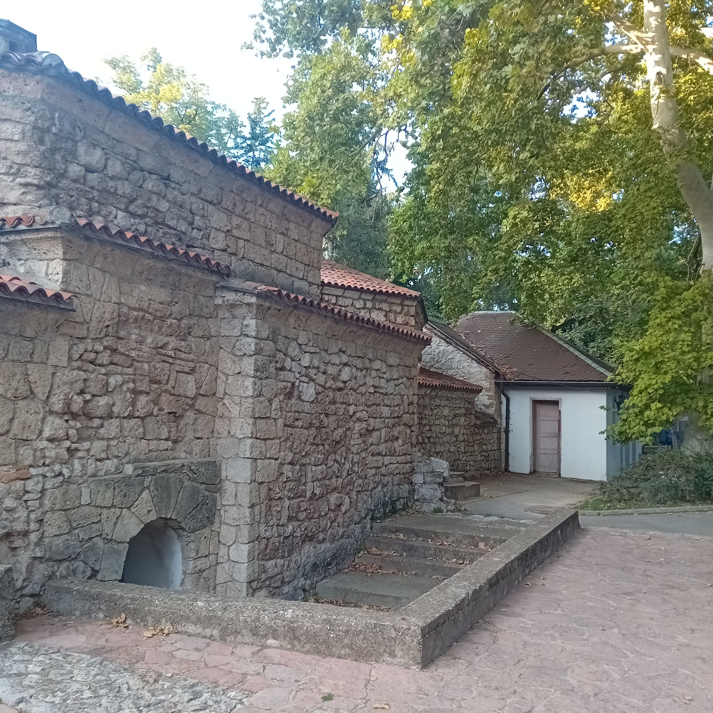 20250927_174137.jpg