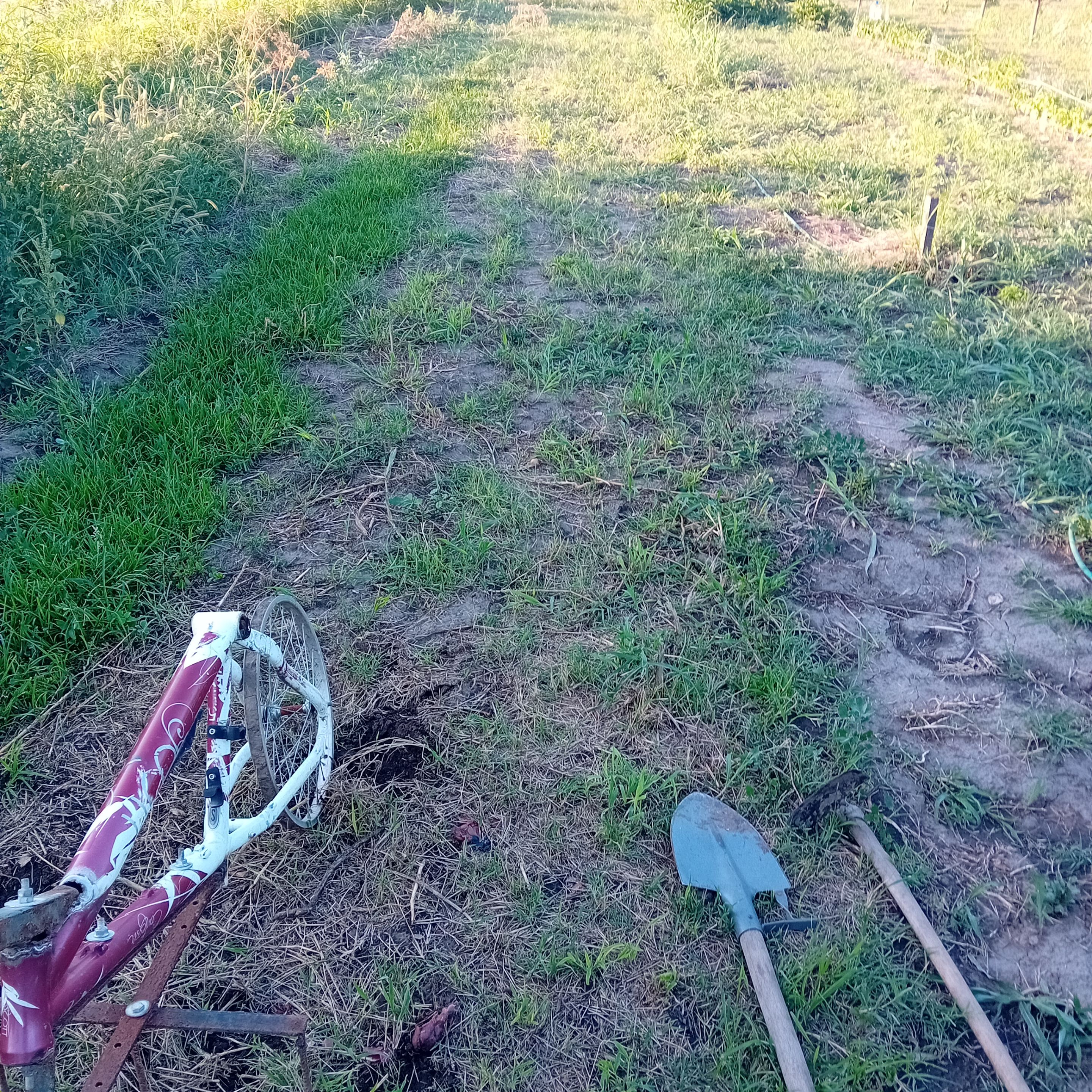 20250731_190507.jpg