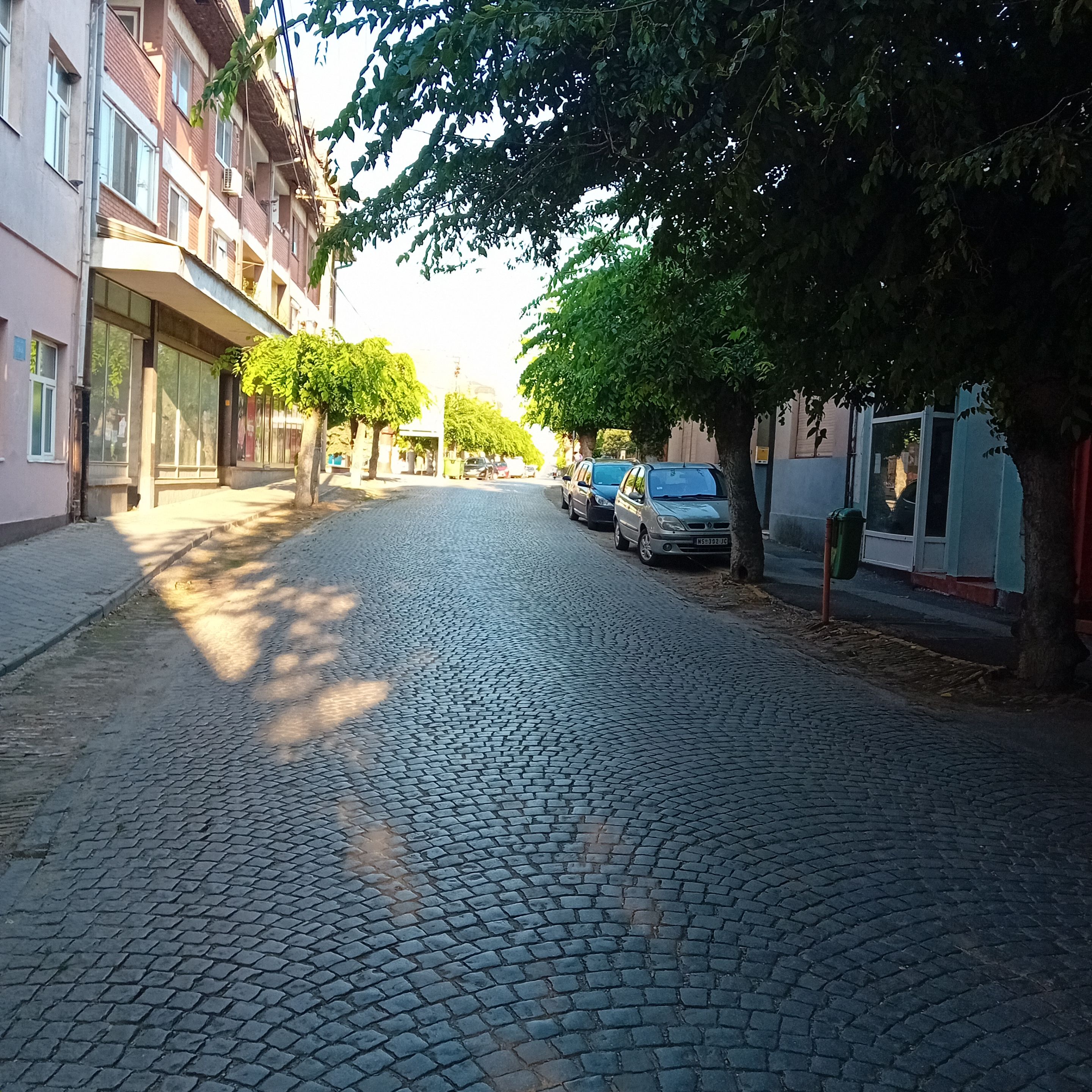 20250812_072156.jpg