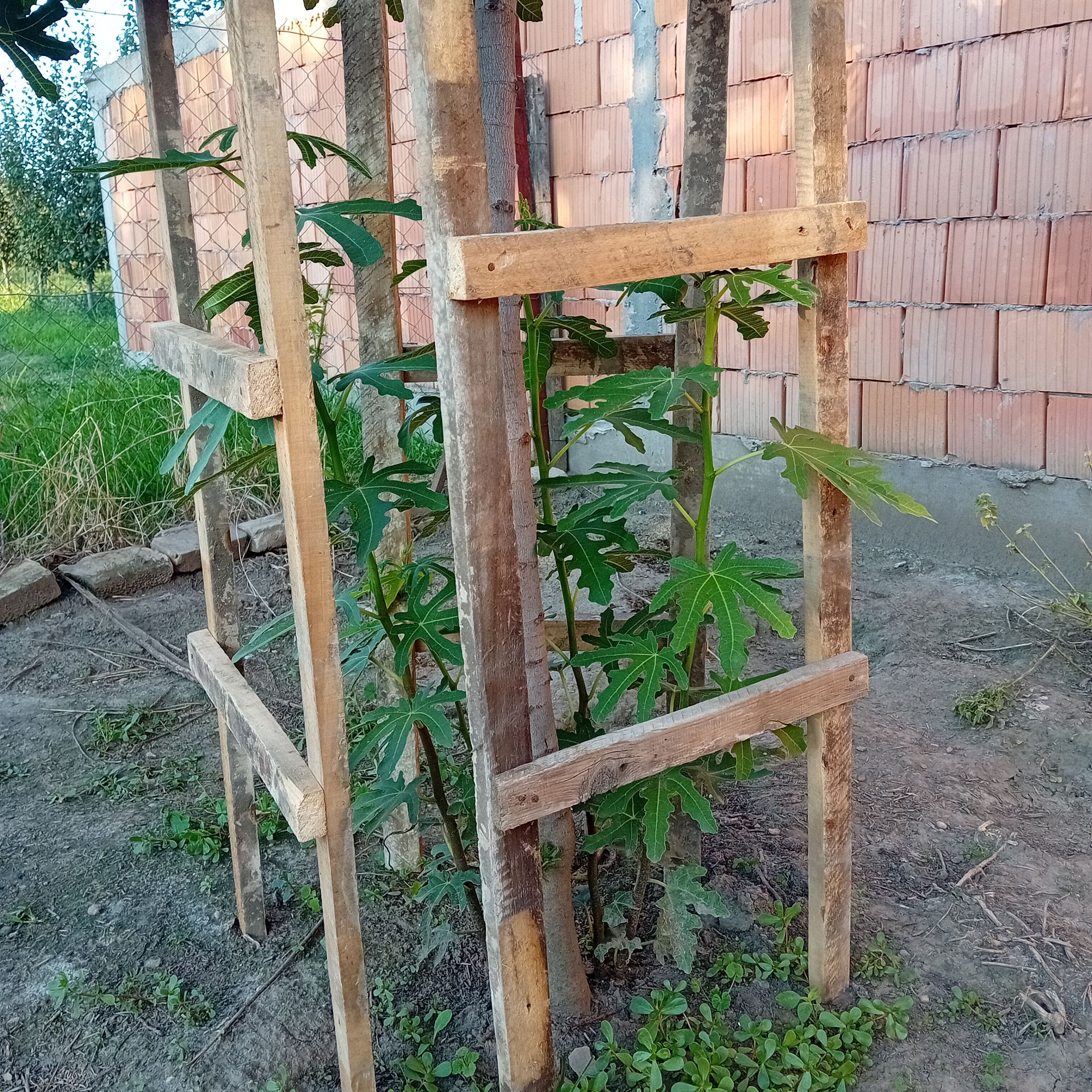 20250807_184525.jpg