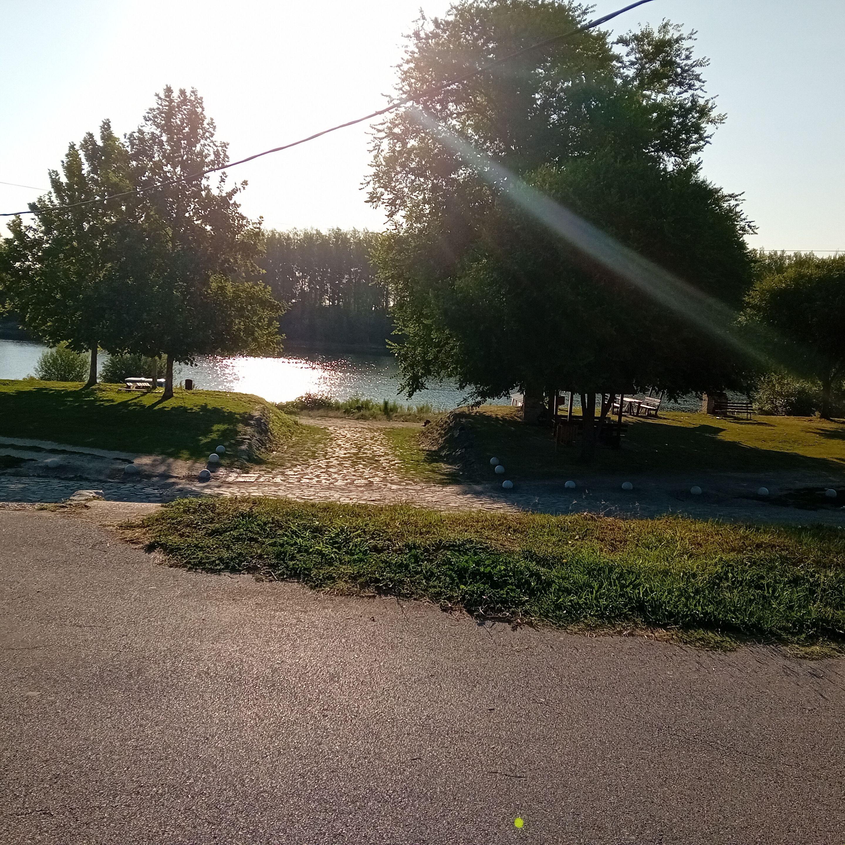20250812_072352.jpg