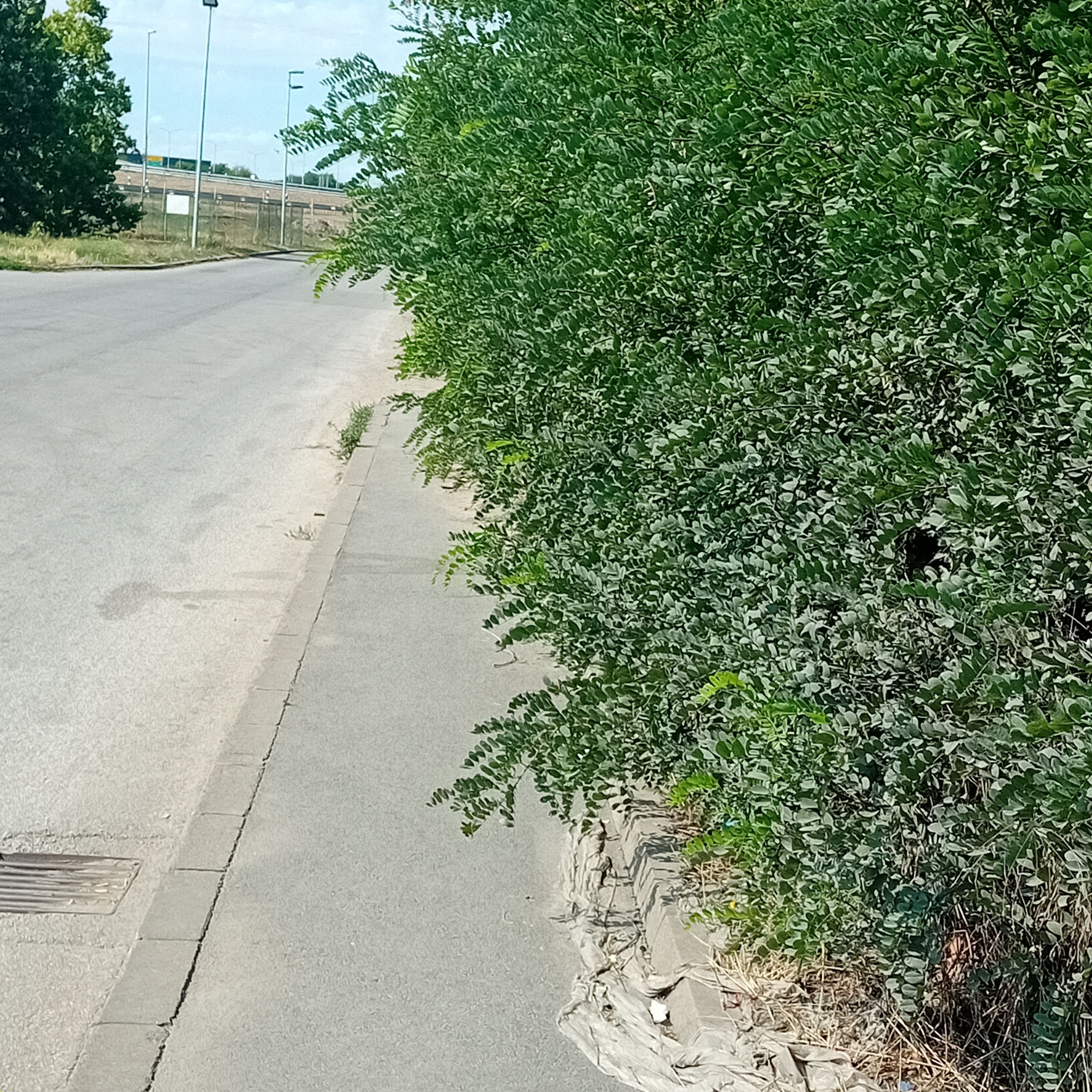 20250723_160146.jpg