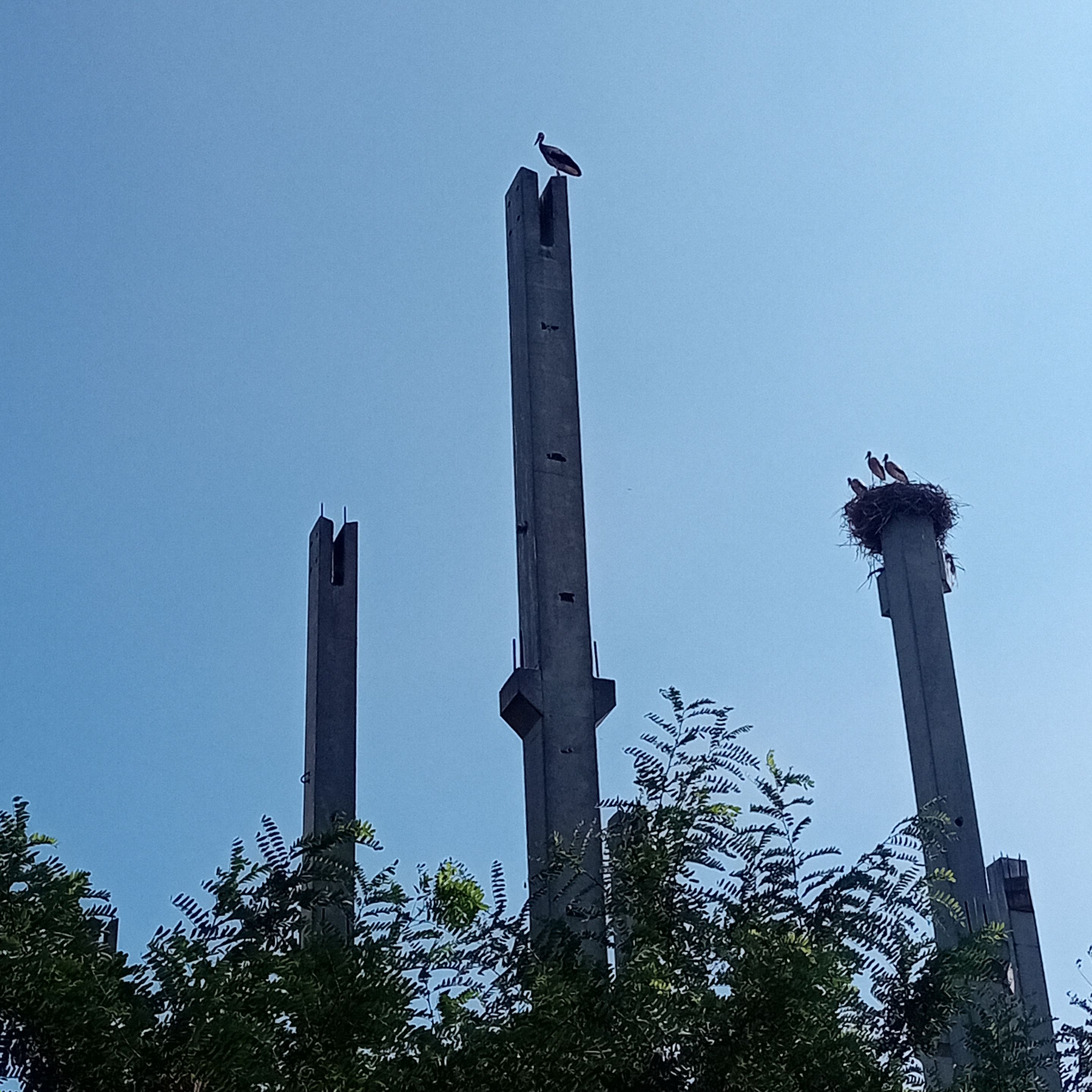 20250723_160728.jpg