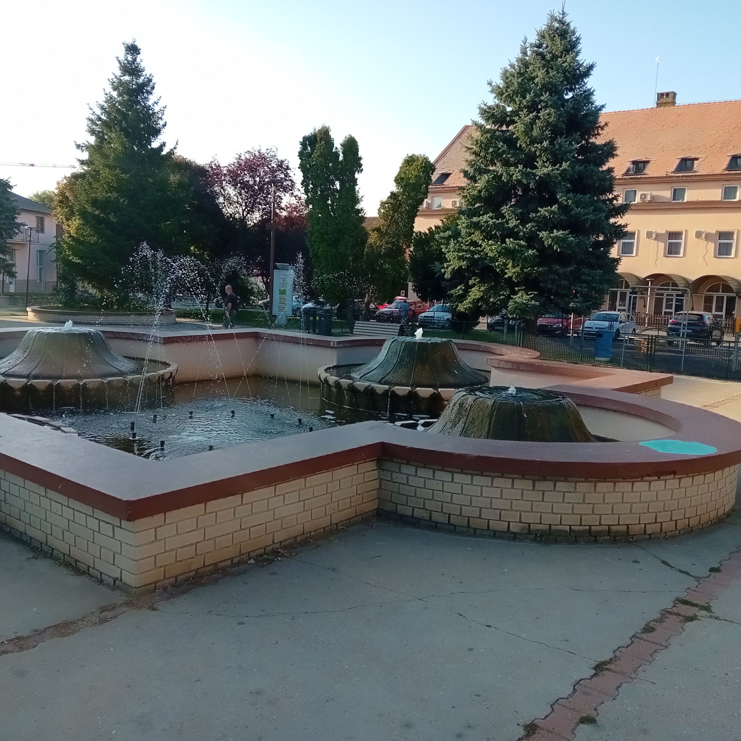 20250812_071417.jpg