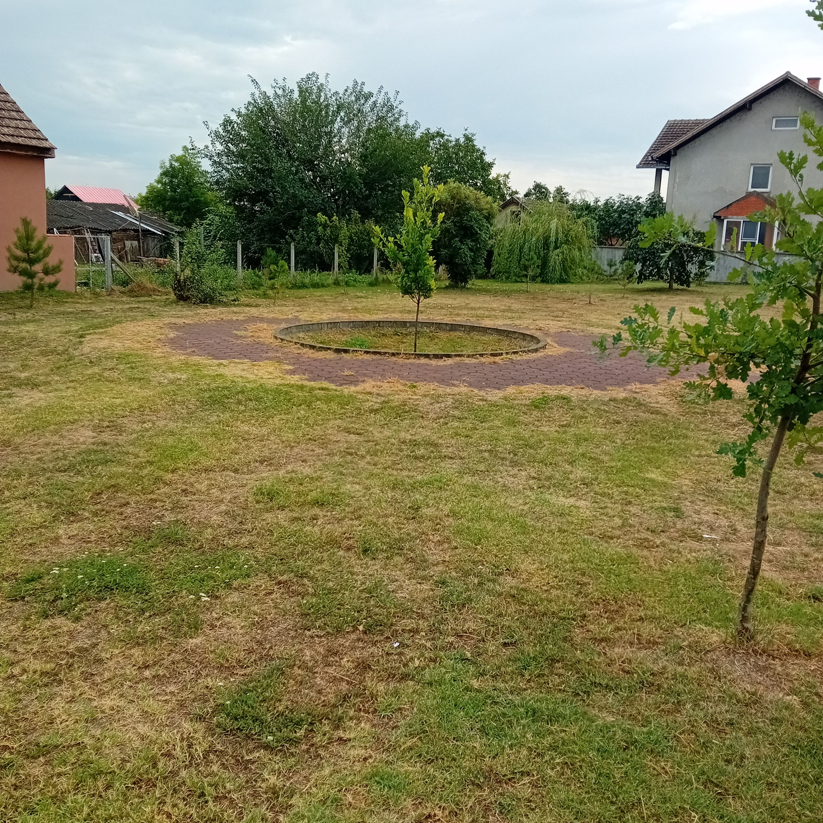 20250817_111704.jpg