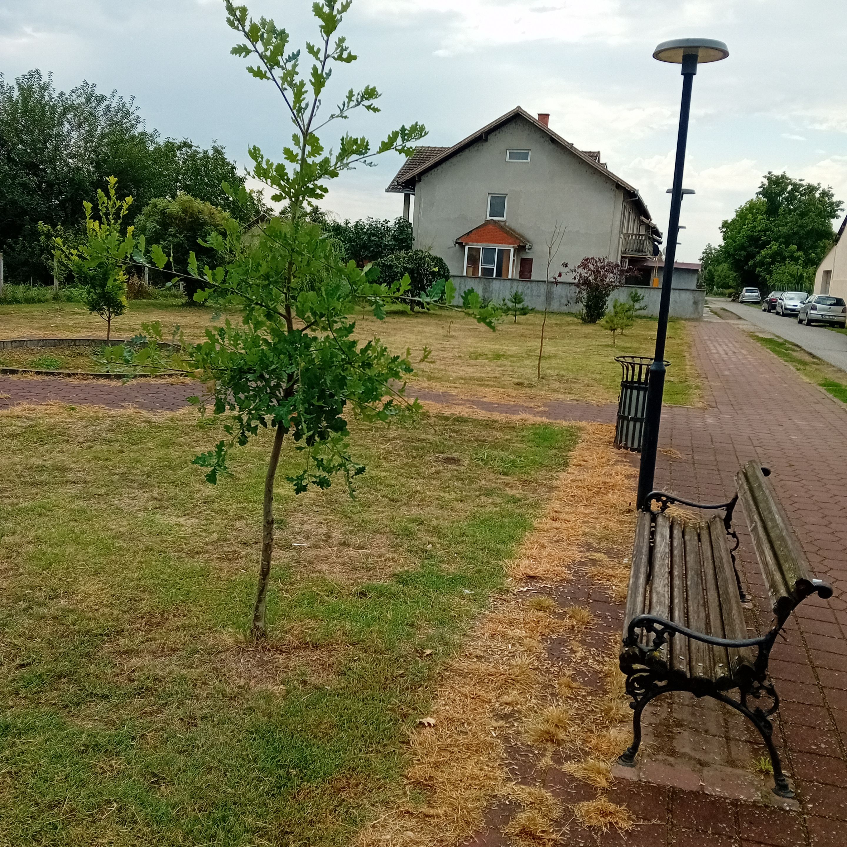 20250817_111659.jpg