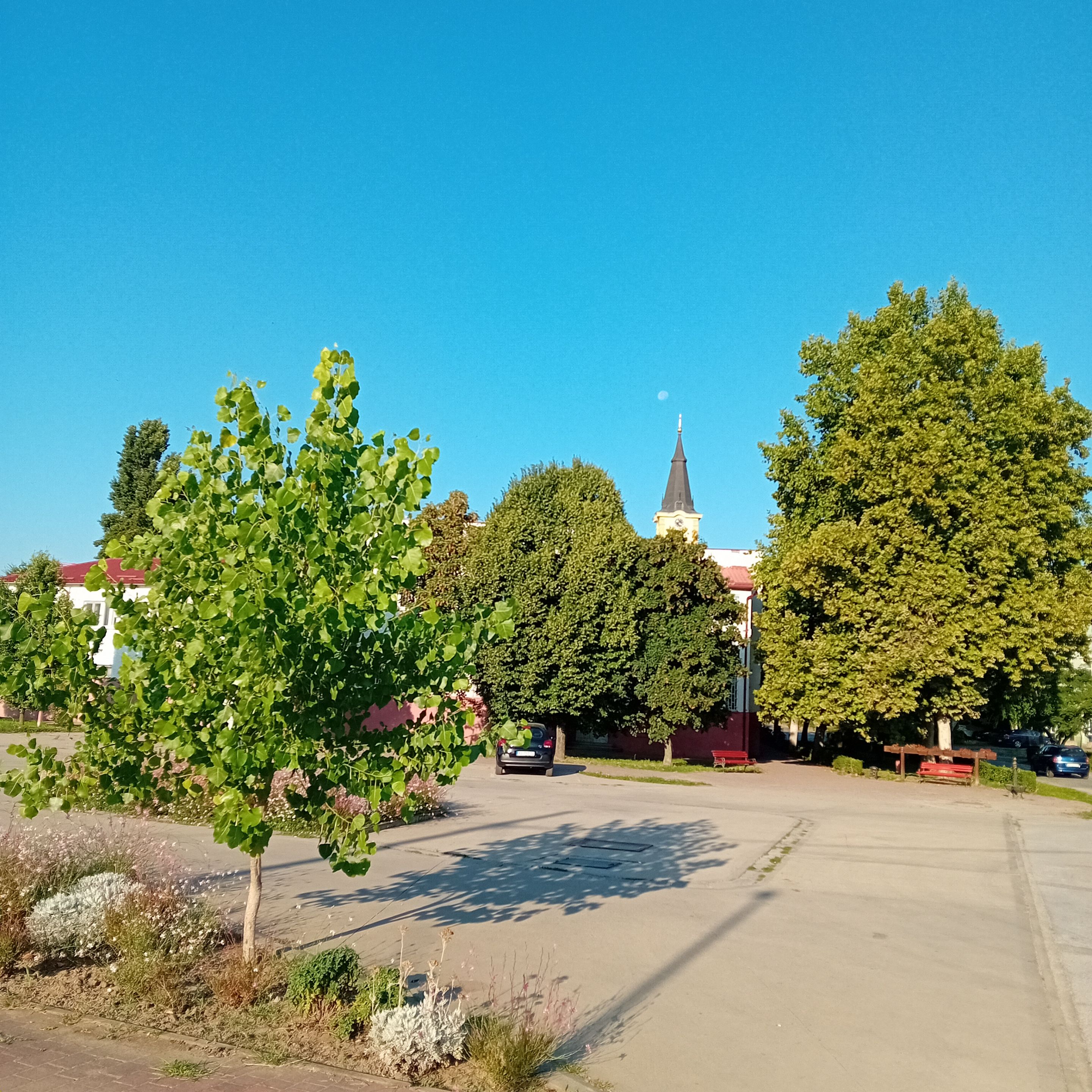 20250812_072339.jpg