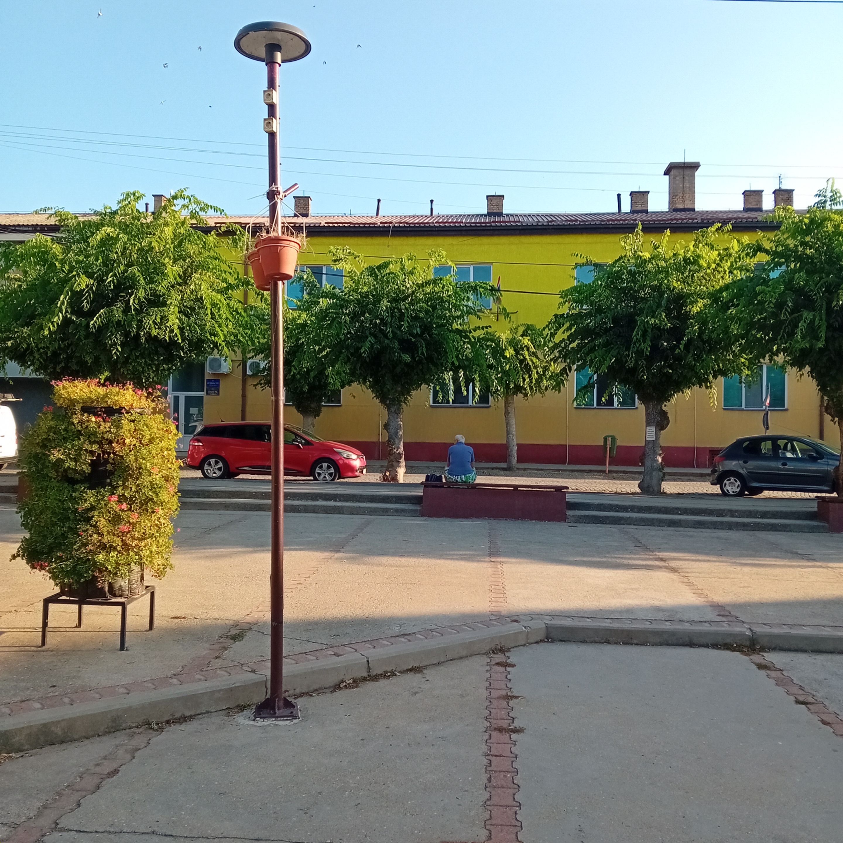 20250812_071355.jpg