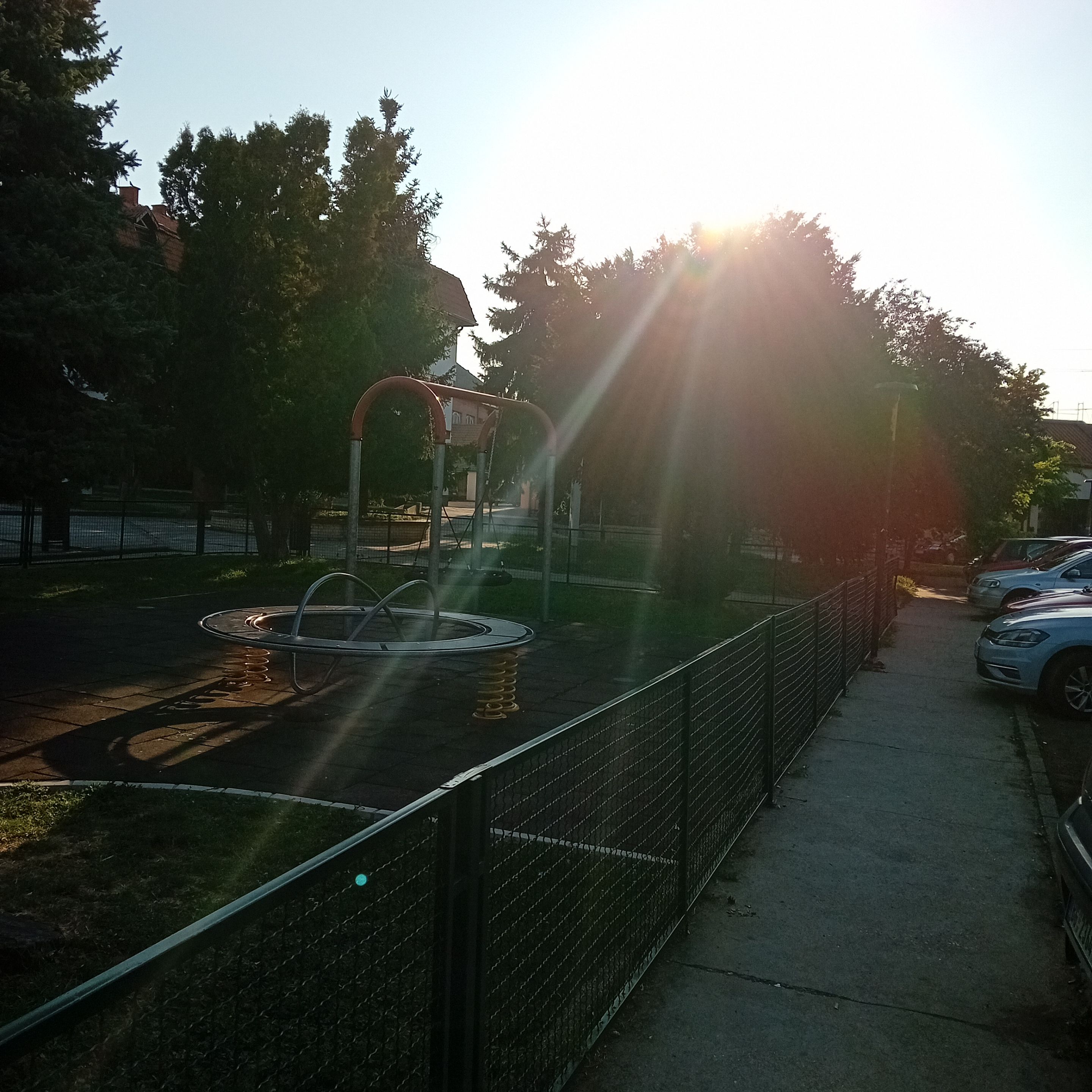 20250812_071149.jpg