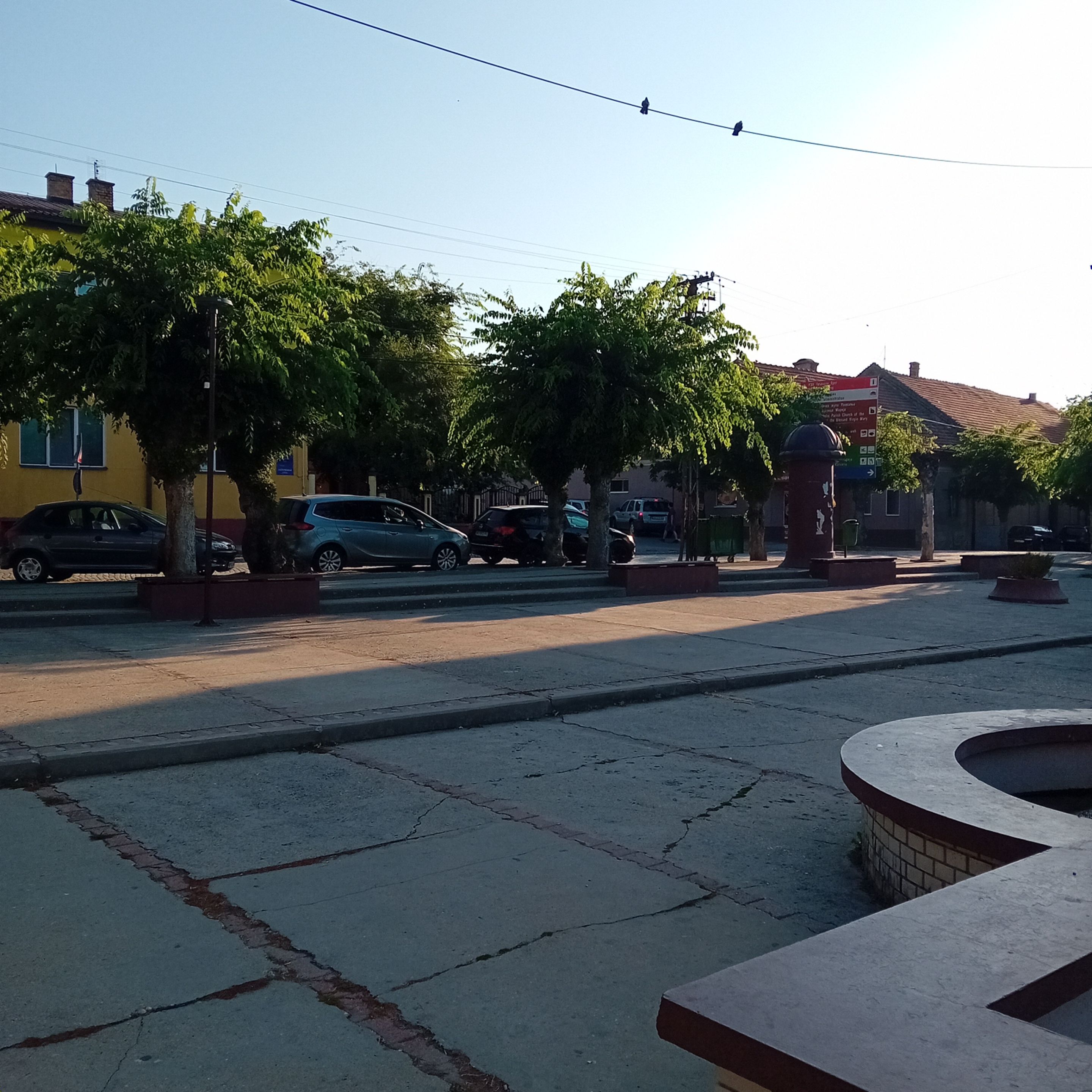 20250812_071352.jpg