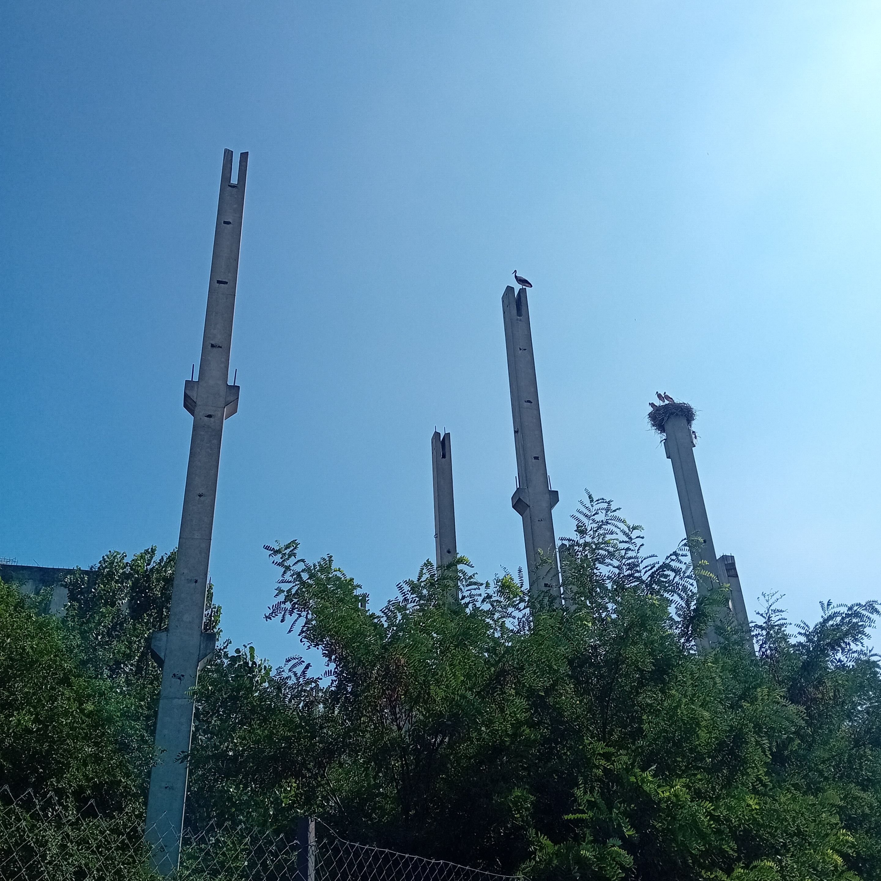 20250723_160718.jpg