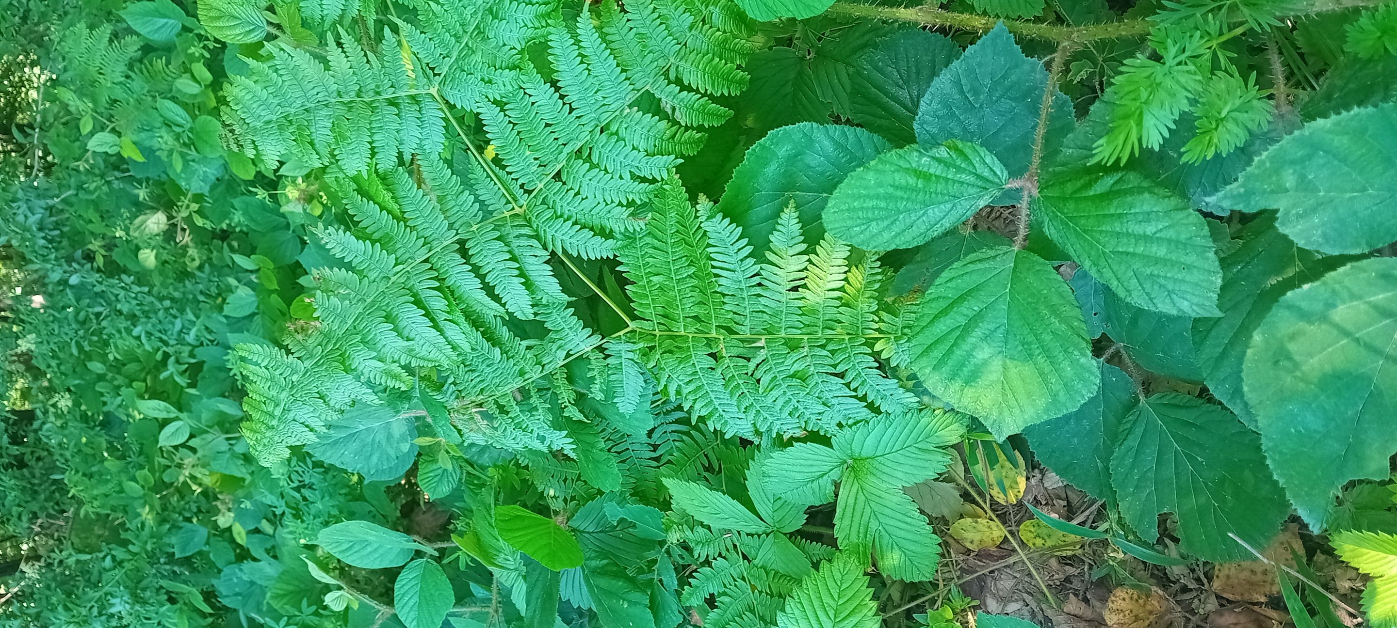 20250601_142947.jpg