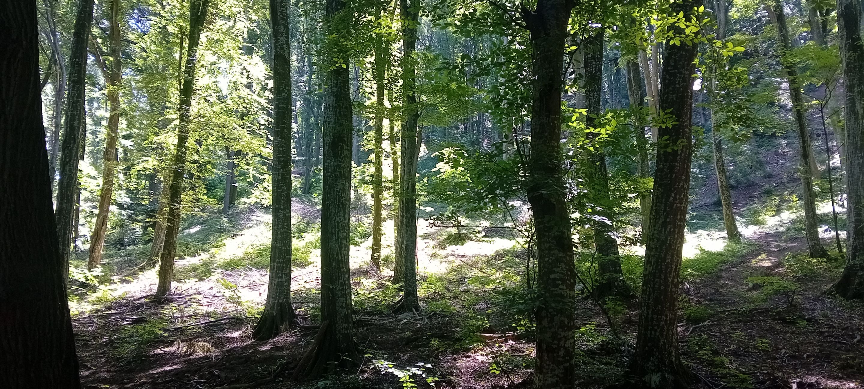 20250601_112122.jpg