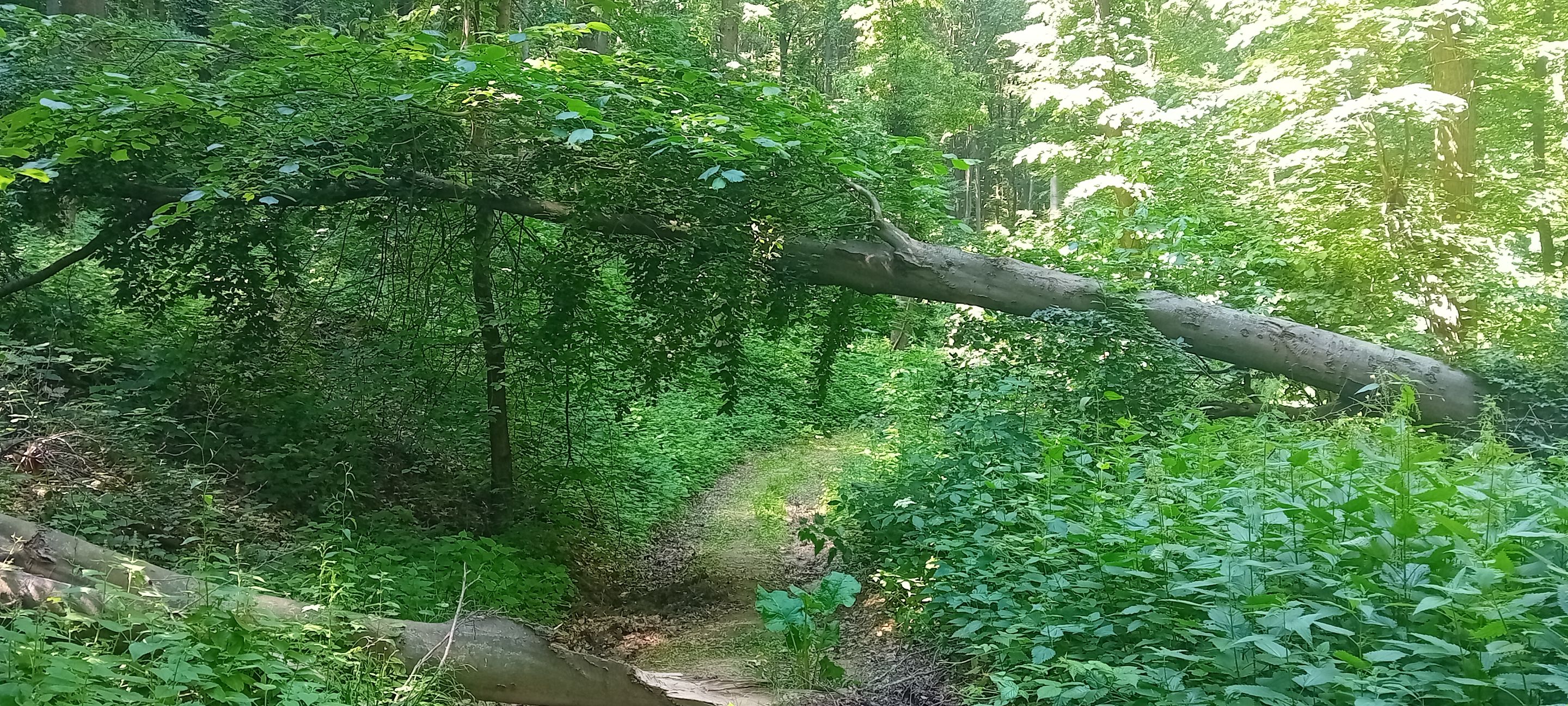 20250601_150415.jpg