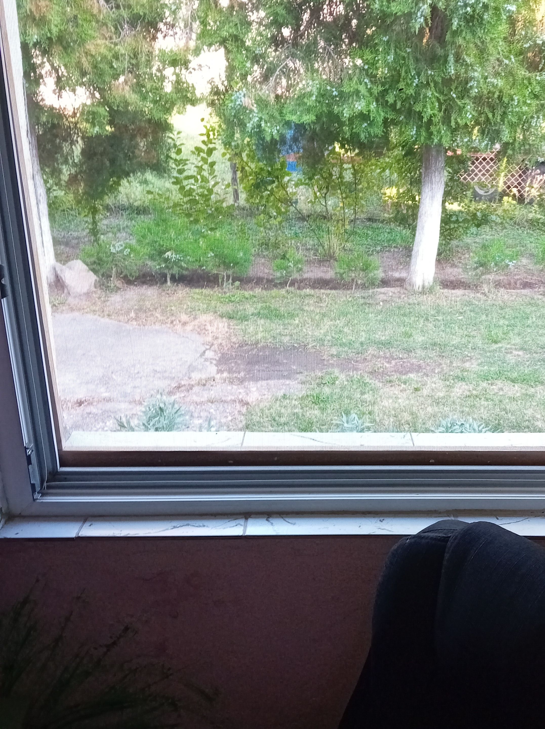 20250804_180707.jpg