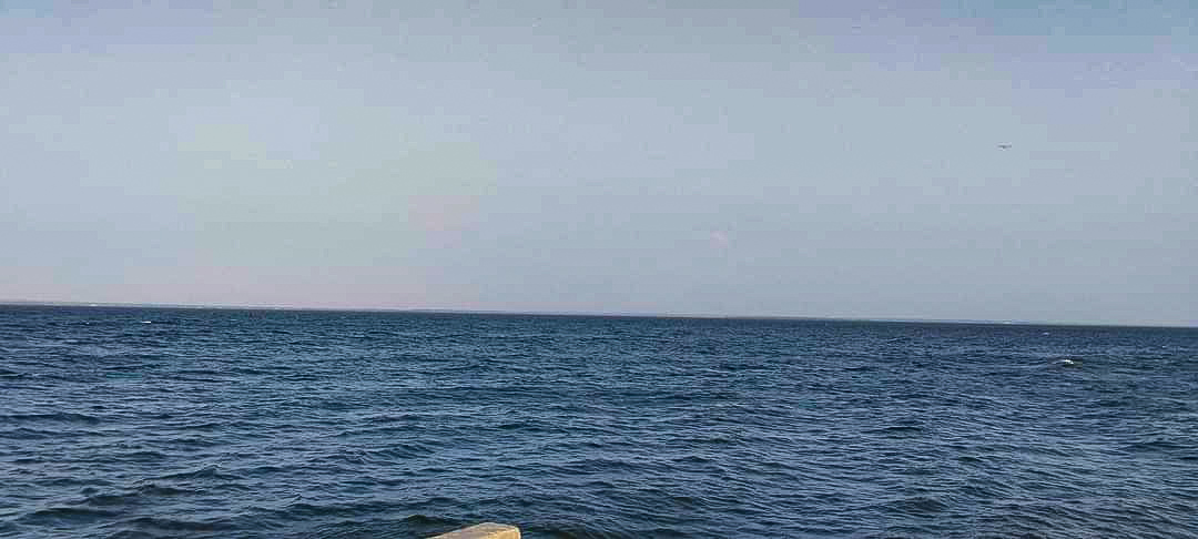 1000303922.jpg