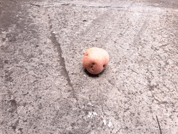 1000022407.gif