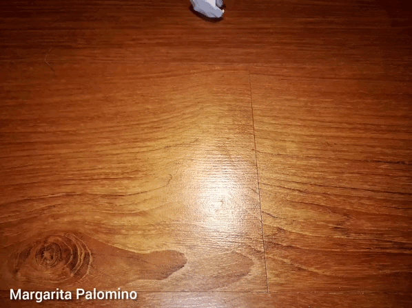 InShot_20220127_230621002.gif