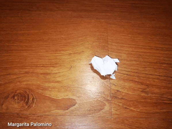 InShot_20220127_231717807.gif