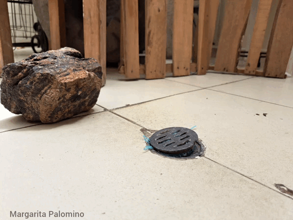 1000013570.gif