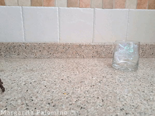 1000013873.gif