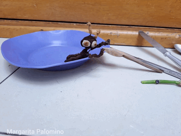 1000024623.gif