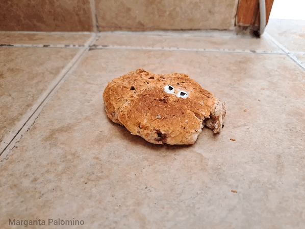 1000026549.gif