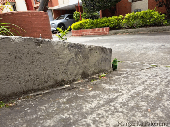 1000029843.gif