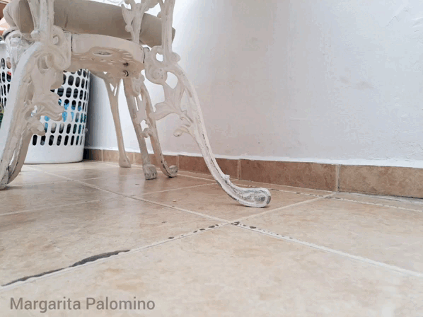 1000027476.gif