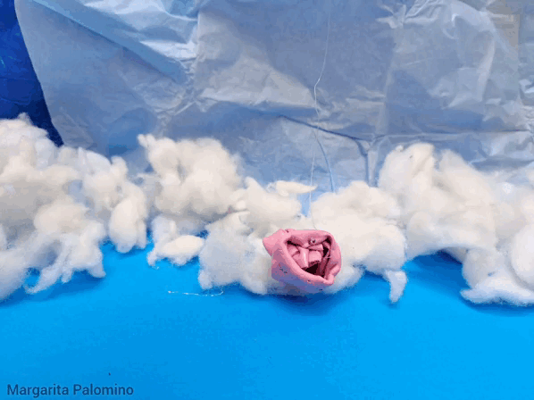 1000017035.gif