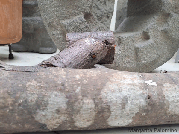 1000022206.gif