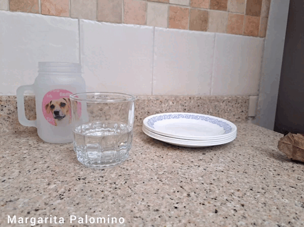 1000022832.gif