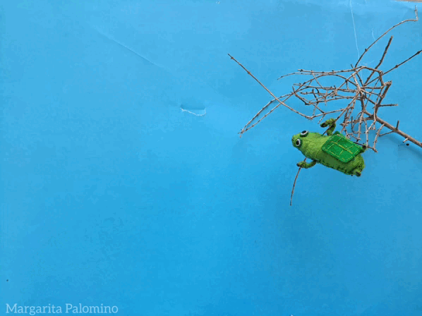 1000016448.gif