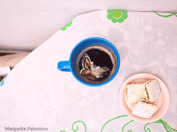 1000024764.gif