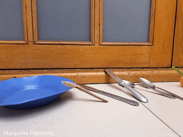 1000024622.gif
